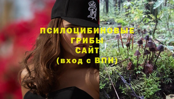 кокс Лагань