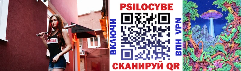 как найти   Кемерово  Псилоцибиновые грибы GOLDEN TEACHER 