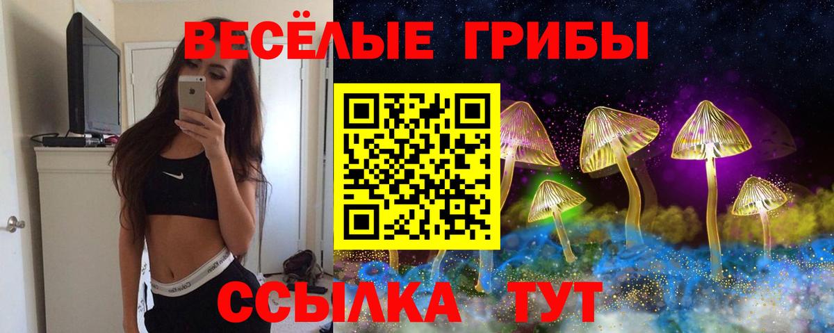 Галлюциногенные грибы Magic Shrooms  где купить наркотик  Кемерово  Вход с VPN 